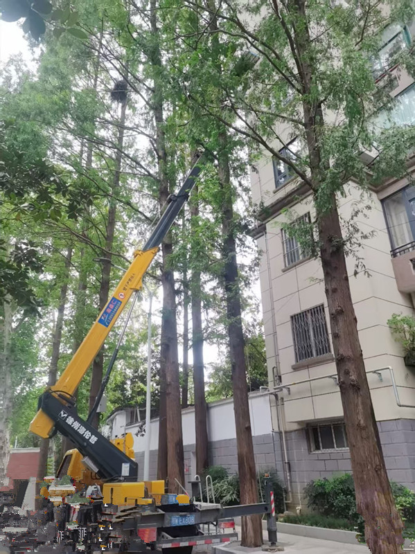 微信图片_20250919141243_117_14.jpg 微信图片_20250919141243_117_14.jpg